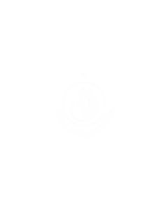 logo-optimizado
